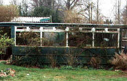 The remains of tramcar 71 -
       photo courtesy of Arnold Chave